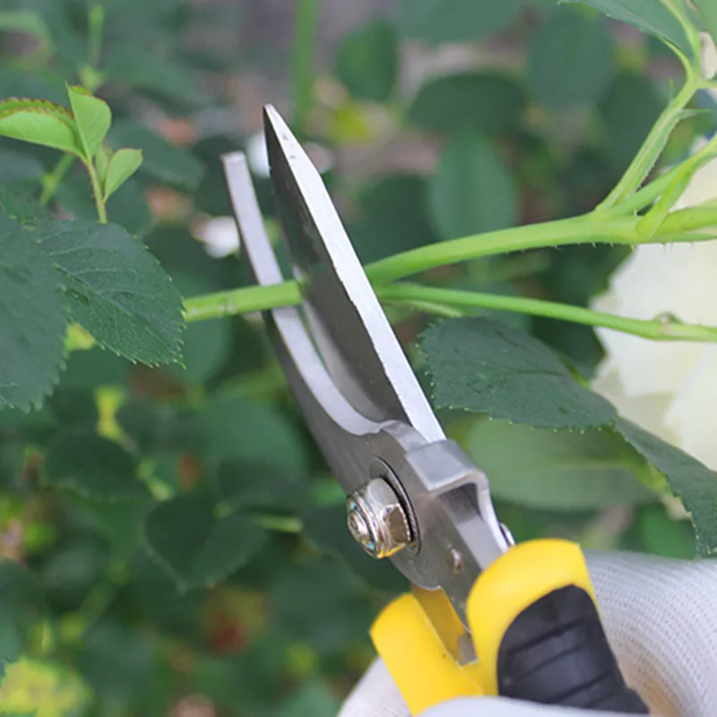 SK5 Steel Garden Pruning Shears Bonsai Branch Cutter Fruit Picking Scissors Agriculture Grafting Tool Pruners Tools | Инструменты