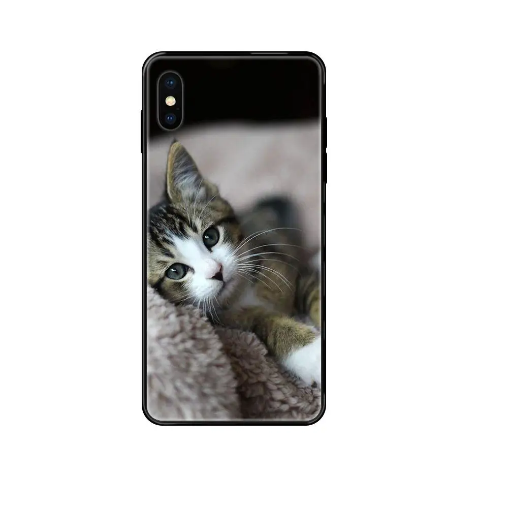Black Soft TPU Cartoon Pattern Phone Case Melancholy Cat Lovely Emboss Uv Clear For Huawei P8 P9 P10 P20 P30 P40 P Smart Lite | Мобильные