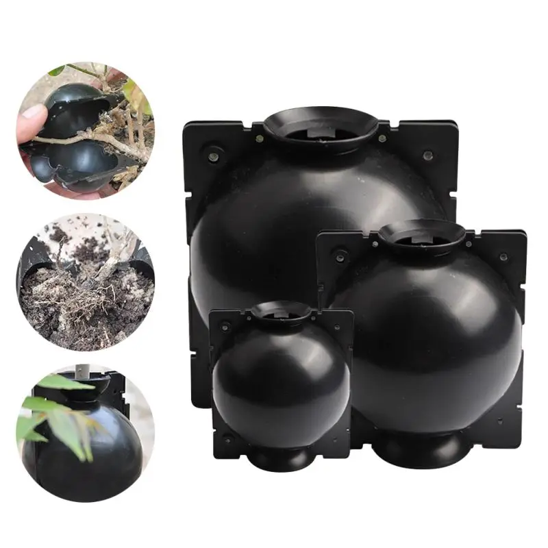 

Plant Rooting Ball Grafting Rooting Growing Box Breeding Case for Garden JS23NEW