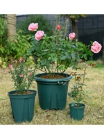 21cm large flower pots green plants green rose succulent large caliber plastic flower pots thickened gallon pots balcony flower