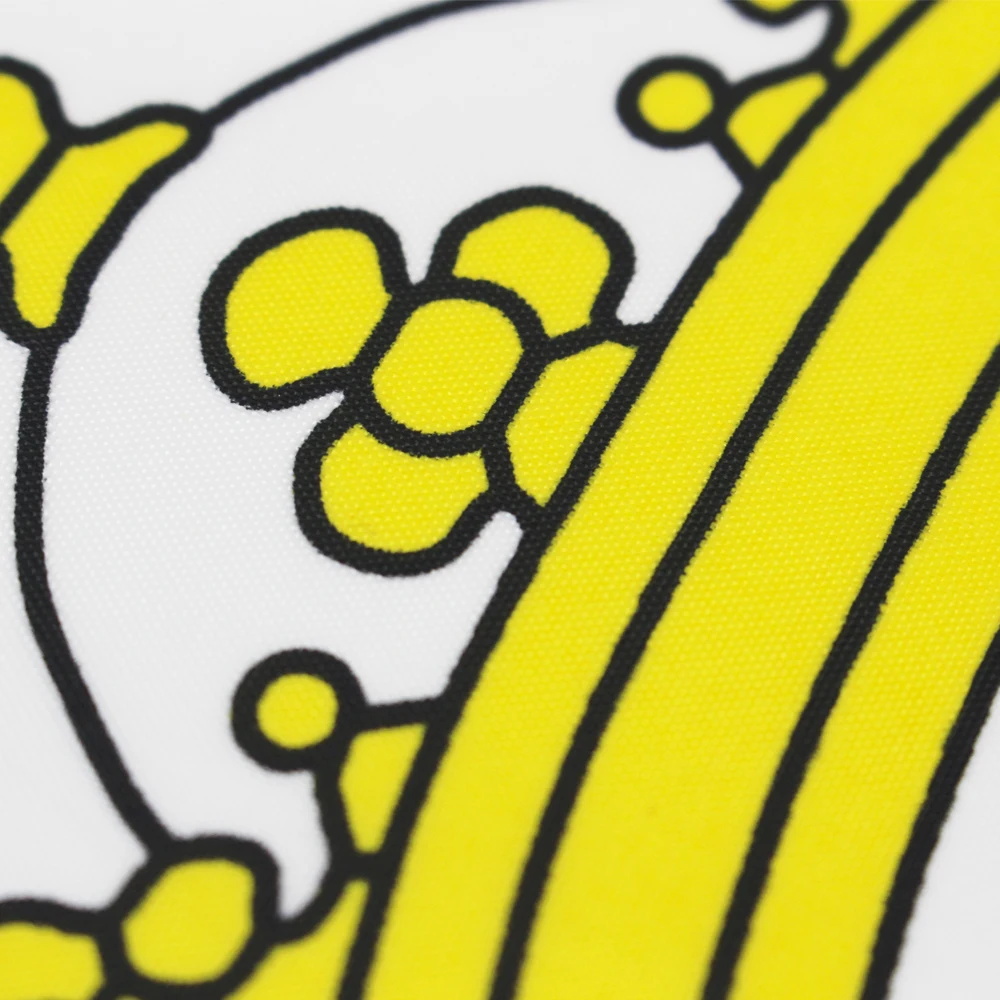 60x90cm 90x150cm Vatican Flag For Decoration | Flags