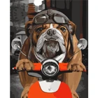 Локомотив красивая собака животные картина по номерам настенное искусство картина акриловая живопись для украшения дома Прямая поставка 60x75 см