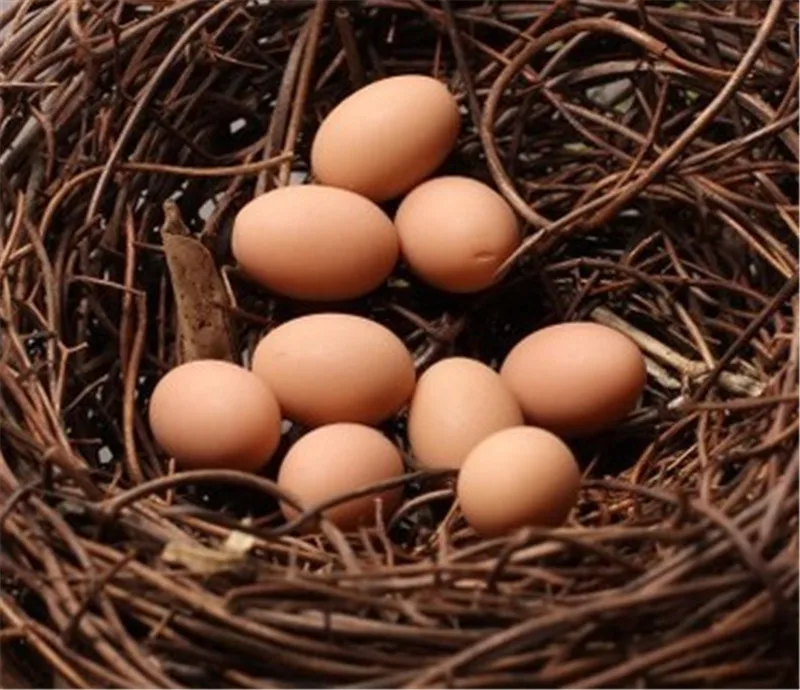 Hot Sale Simulation Animal Model Bird Nest Egg Figurine Bonsai Home Decor Miniature Fairy Garden Decoration Accessories Modern | Дом и сад