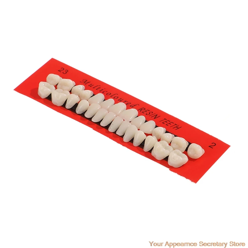 

28Pcs/Set New Universal Resi False Teeth Resin Teeth Model Durable Dentures Dental Material Teeth Teaching Model Dedicated Teeth