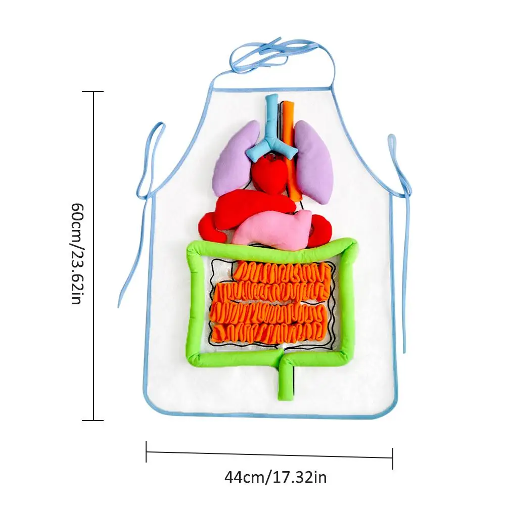 Раннее развитие ребенка игрушки для детей анатомический фартук 3D человеческого