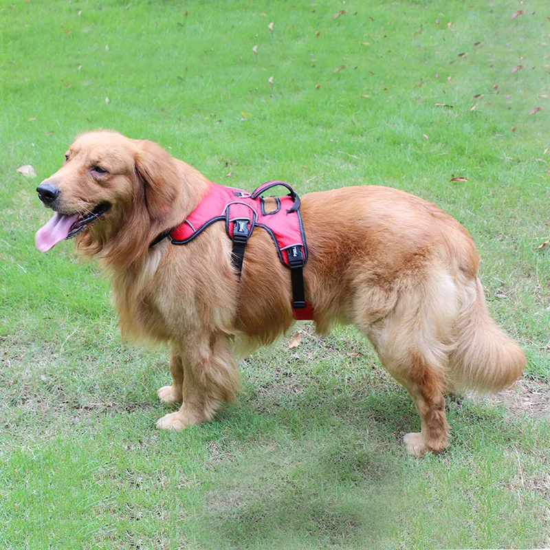 TUFF HOUND сильные поводки для собак тренировочная безрукавка средние и большие собаки регулируемая уличная Защитная собачья жгут Pitbull