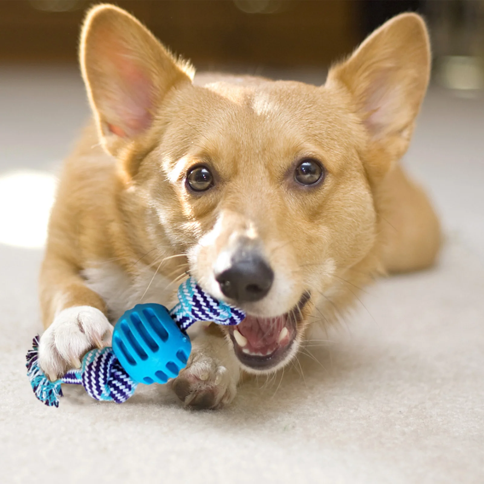 

Pets Supplies Cotton Rope Toys Chewing Cleaning Teething With Double Knot Cotton Rope Ball Dog Bite Resistance Molar Dog Toy