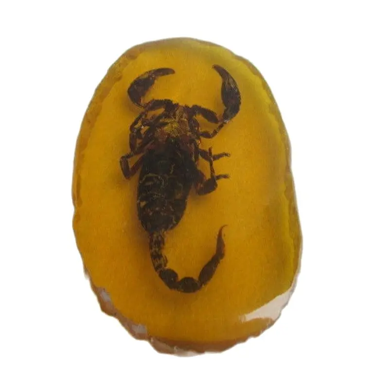 

A collection of ancient China.Amber scorpion