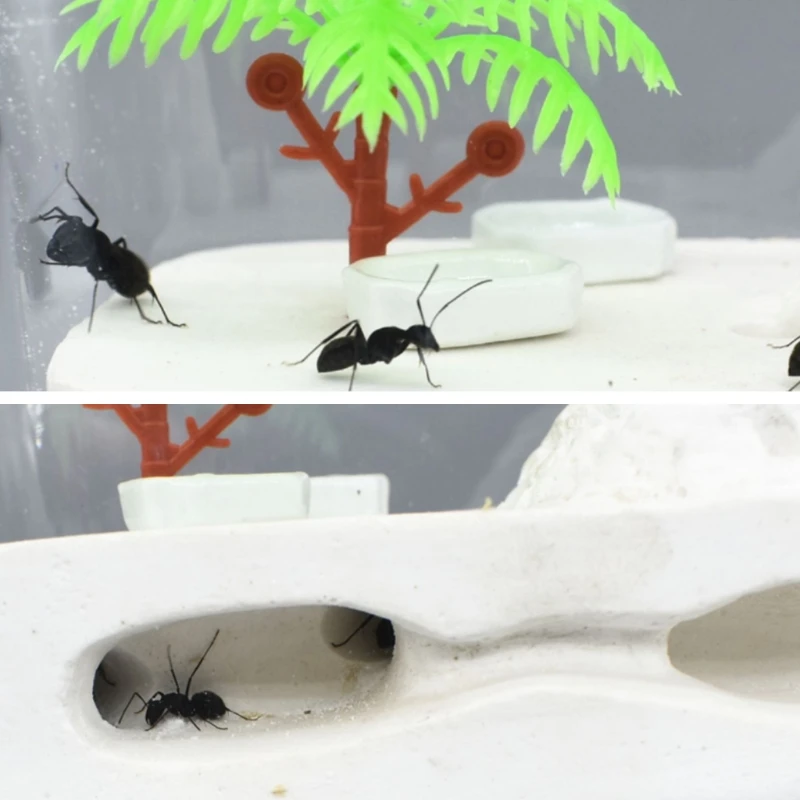 Муравьиная ферма H051 штукатурка Муравьиное гнездо искусственная мастерская