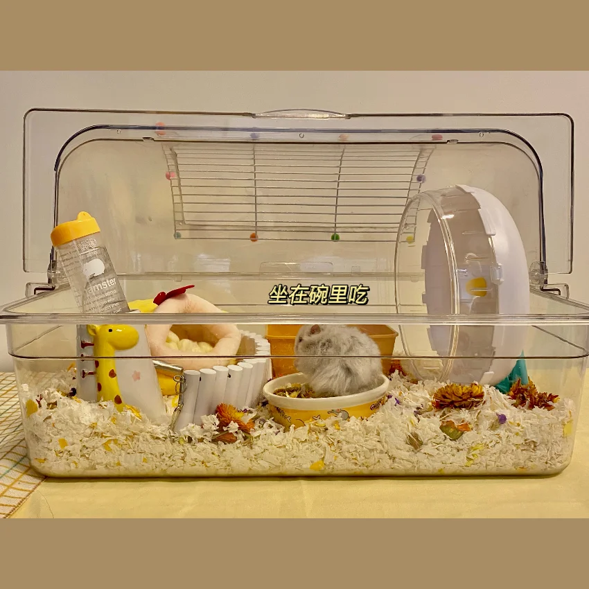 

Hamster Fully Transparent Djungarian Hamster Dwarf Cage DIY Hamster Cage High Transparent Three-Line Flower Branch Mouse