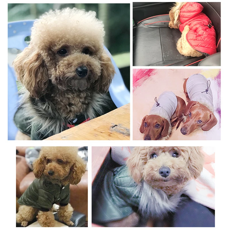 Зимние теплые Pet Одежда с принтом в виде собак для пальто для собак куртка с защитой от ветра, толстовка с капюшоном для собаки, одежда для щенков для домашних животных, чихуахуа, йоркширских терьеров