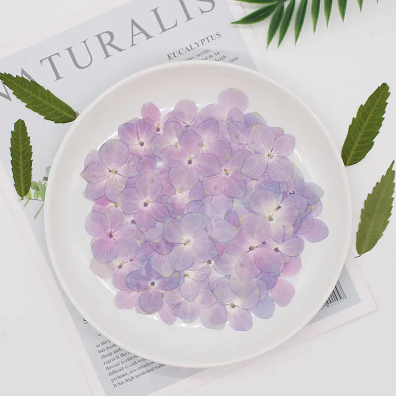 Гортензия оригинальный цвет прессованный цветок для DIY ручной работы материал 1