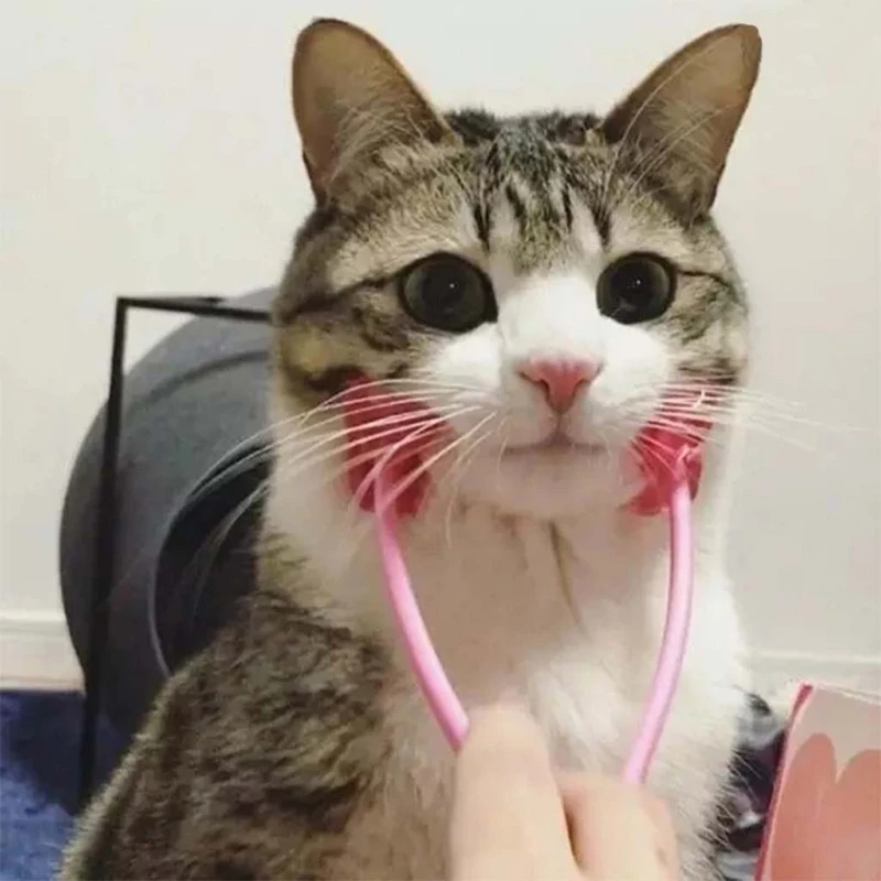 Многофункциональный кошачий тонкий массажер для лица интерактивный массажный