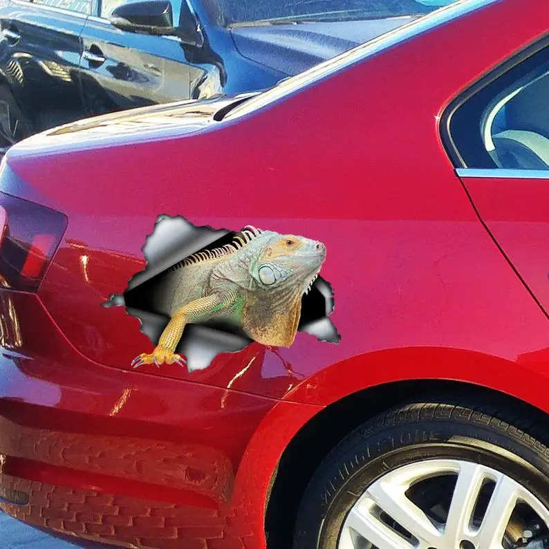 

2021 Iguana car decal , Iguana car magnet, Iguana sticker