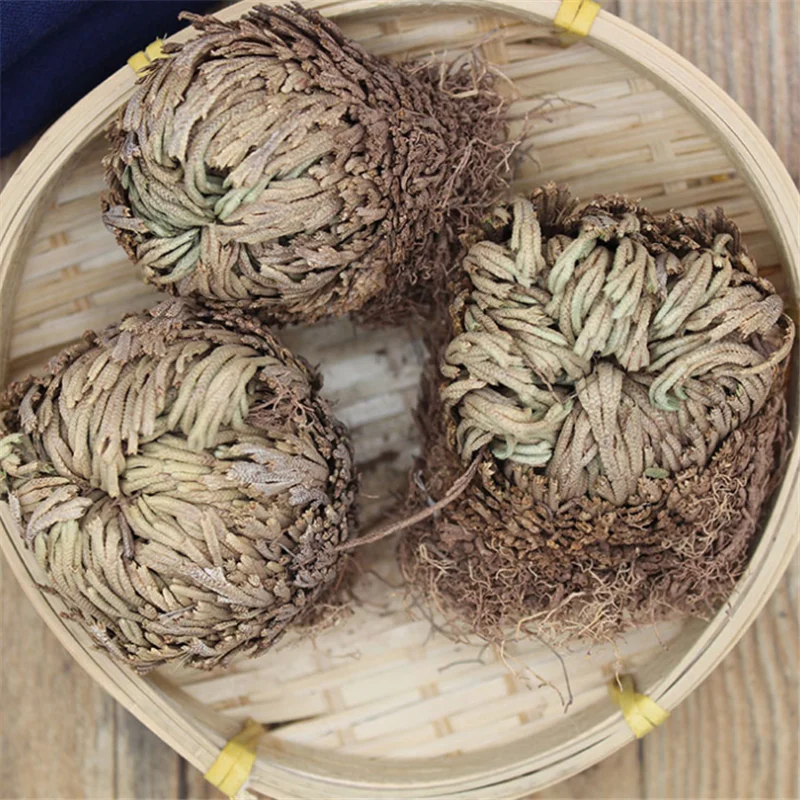 Сушеный цветок 2 шт. волшебное растение для воскресения Роза динозавра Иерихона