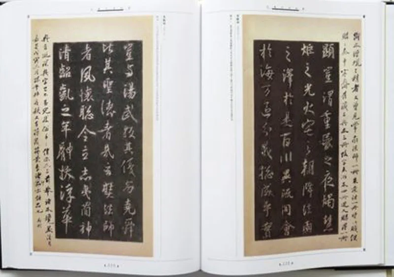 2 шт./компл. набор кистей для письма с китайскими чернилами Wang Xizhi книга