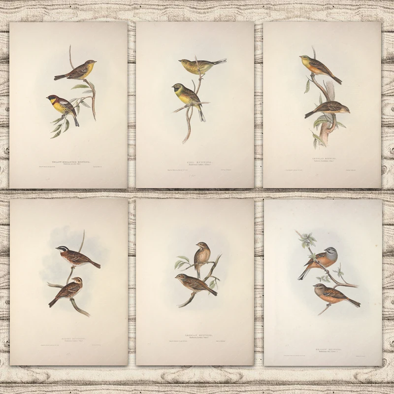 Желтый брезентовый круглый бандаж Ortolan в европейском стиле с изображением птиц