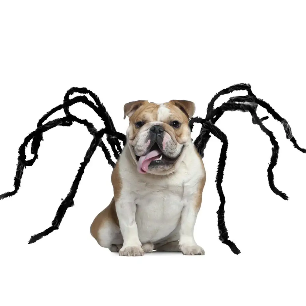 Забавная Одежда для собак костюм паука питомцев на Хэллоуин черный Забавный