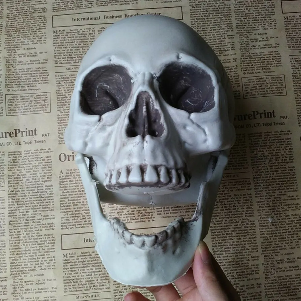 

Simulation Human Skull Model Halloween Venue Decoration Props Decoration Horror Ornaments Skull