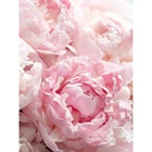 Алмазная 5D картина с розовыми цветами пионами, полноразмернаякруглая мозаика, 3D вышивка, рождественское искусство, Настенная декоративная наклейка, подарок CV592