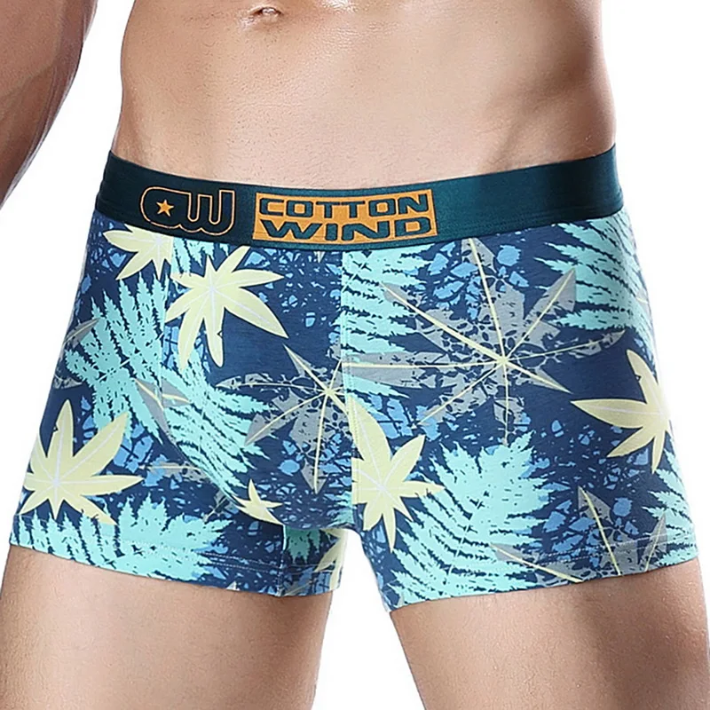 2020 пляжные шорты мужские плавки с ретро принтом одежда для плавания Классическое