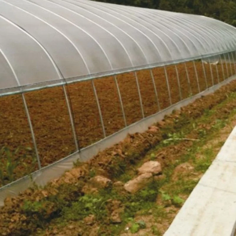 Рисунок 4 - Туннельная теплица для овощей