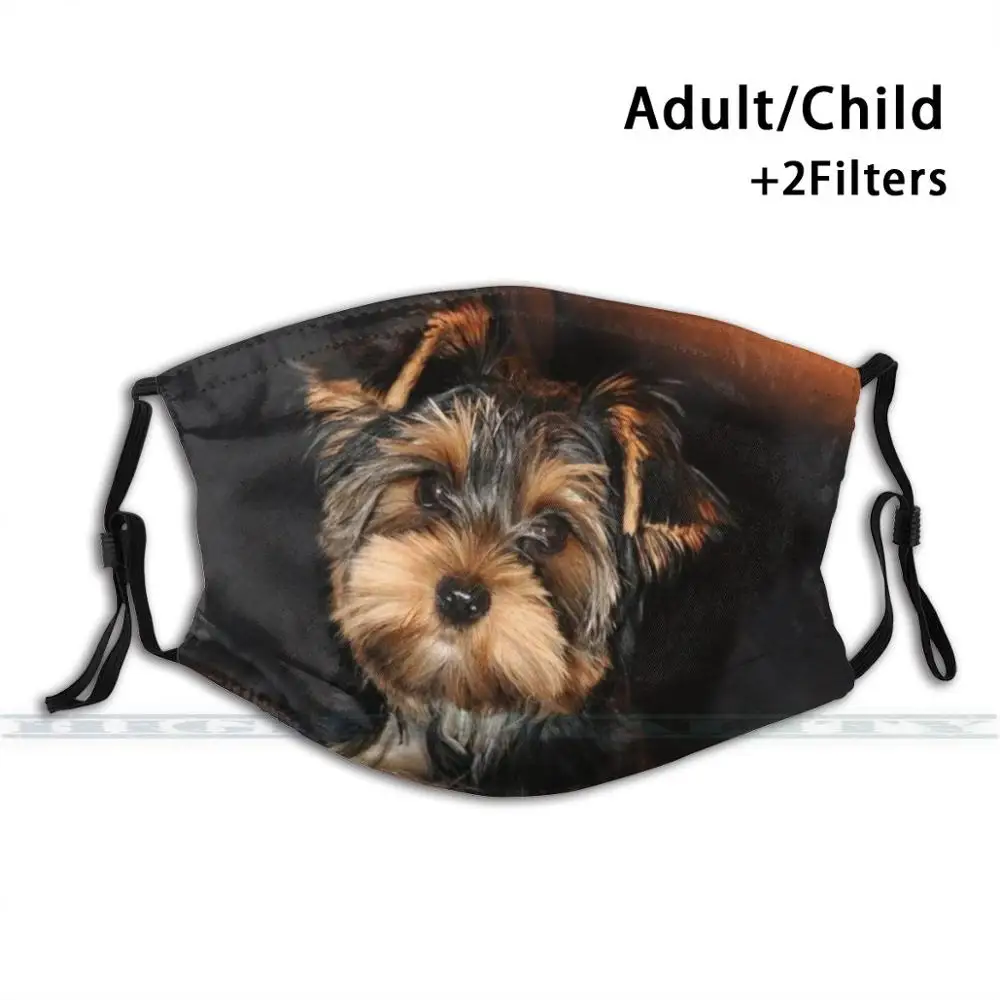 

Cute Yorkshire Terrier Dog Fashion Print Reusable Funny Pm2.5 Filter Mouth Face Mask Yorkshire Terrier Yorkie Dog