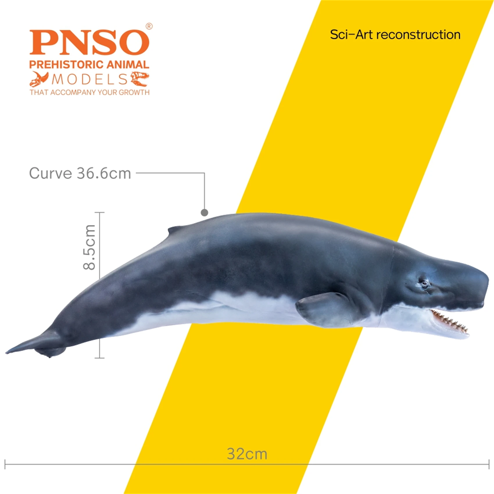 La cetacea foto