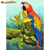 ruopoty framed parrot animal painting by numbers for adults oil paints kits home decor handpainted modern home wall art picture