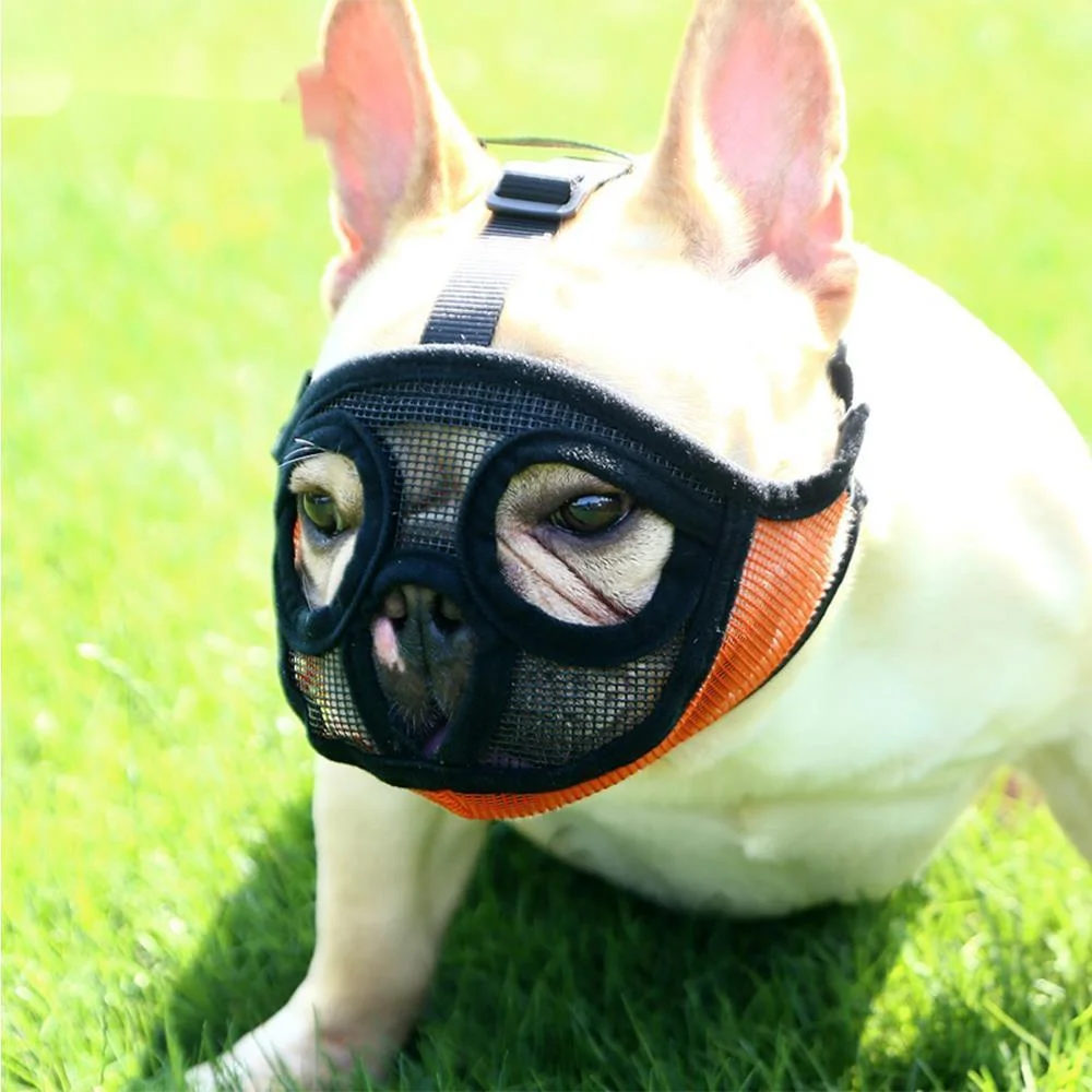 

Hoopet Pet Small Dog French Bulldog Muzzle Dog Mouse Basket Breathable Muzzle for Dogs Leash Harness Supplies