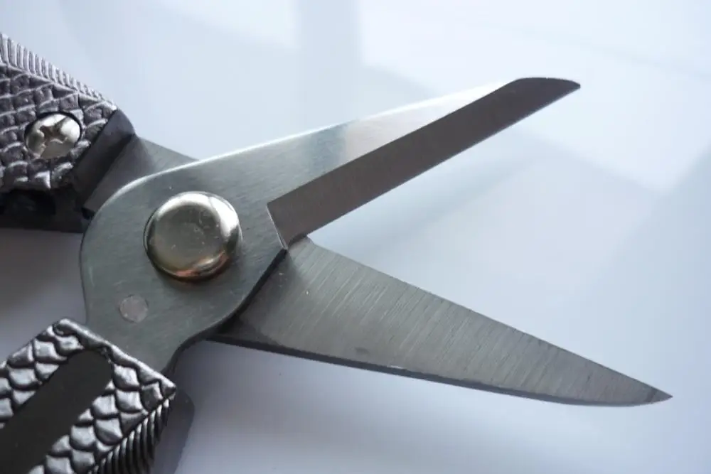 Садовый секатор высокого качества резак для деревьев садовые ножницы обрезки