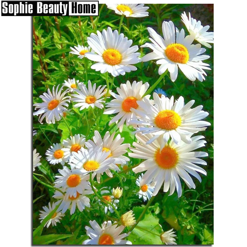Полноразмерная Алмазная вышивка крестиком хризантемы ромашки полная круглая