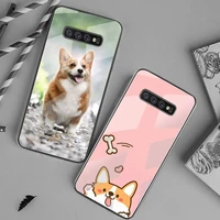 welsh corgi dog phone case tempered glass for samsung s20 plus s7 s8 s9 s10 plus note 8 9 10 plus