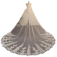 light champagne 300cm wedding veil with comb lace edge one layer bridal veils appliqued cathedral length