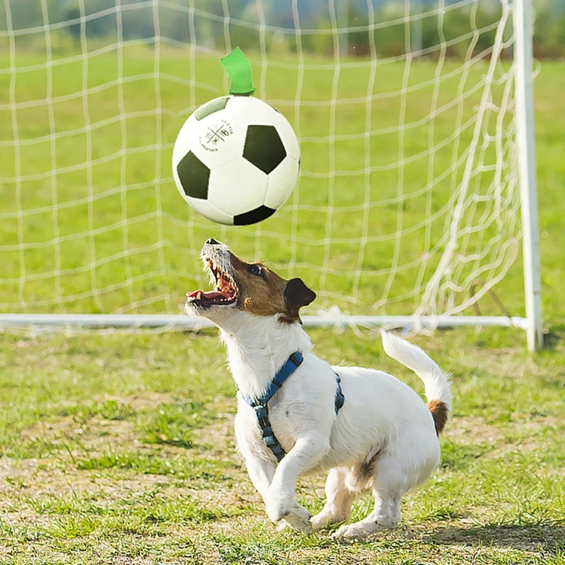 

Pet Grab Tabs Soccer Ball Indoor Interactive Dog Toys Outdoor Water Puppy Toy Dropshipping