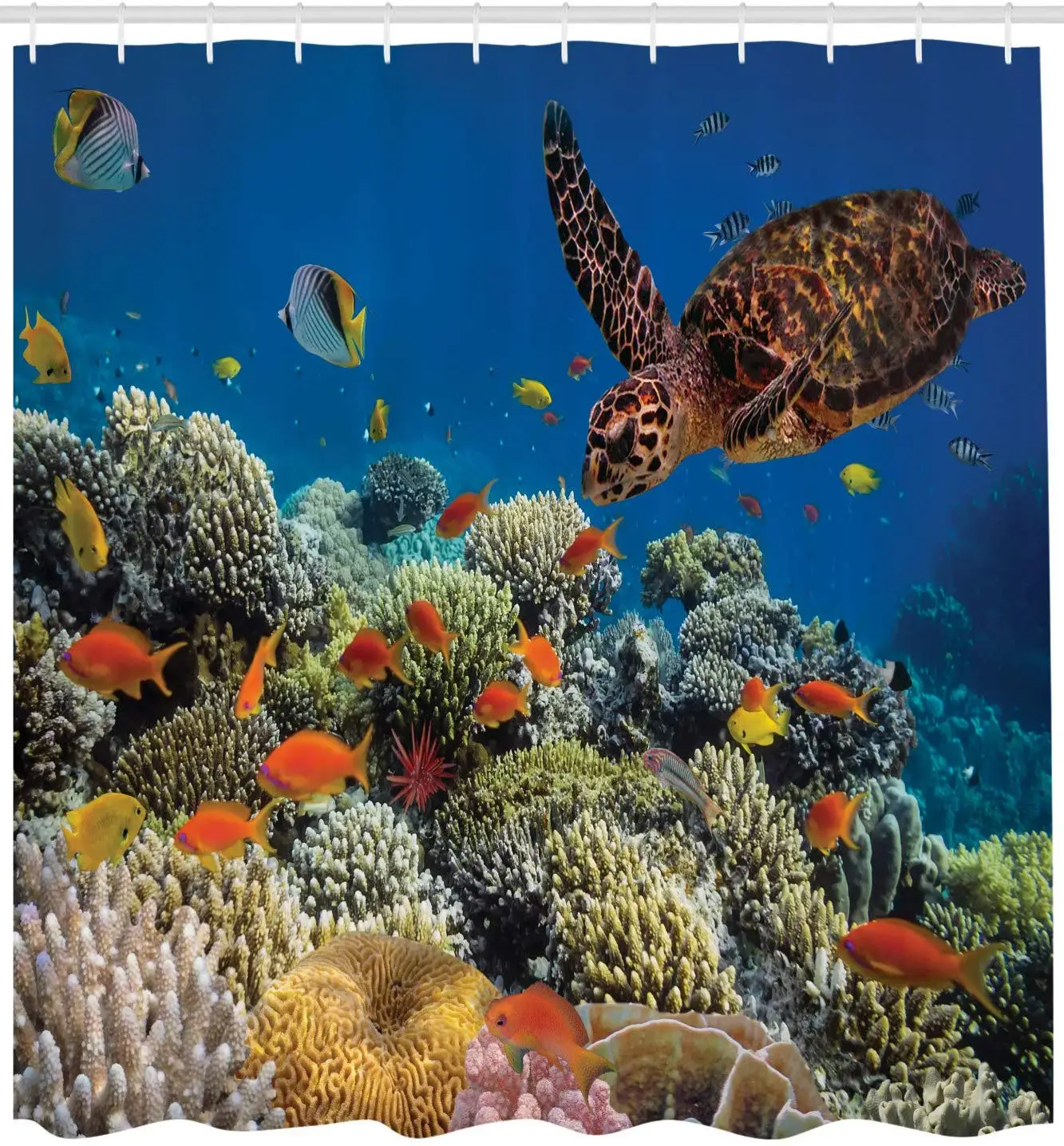 Цветные рыбки и старые черепахи коралловые рифы Дахаб красное египетское море