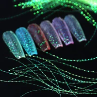 1pack nail art decorations holographic colorful line silk diy fluorescent filament fashion nail designs manicure accessorie d048