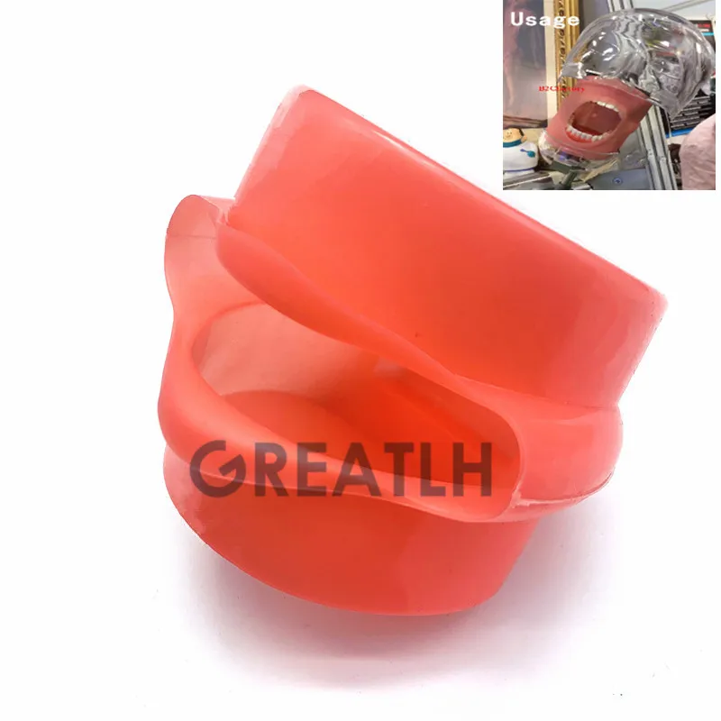 Стоматологическая маска для рта зуба учебная Маска модели держатель Декор