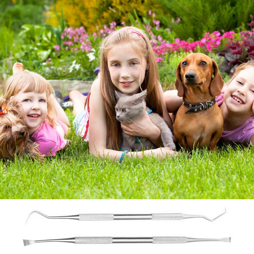 Гигиена полости рта для собак и домашних животных инструмент ухода за здоровьем