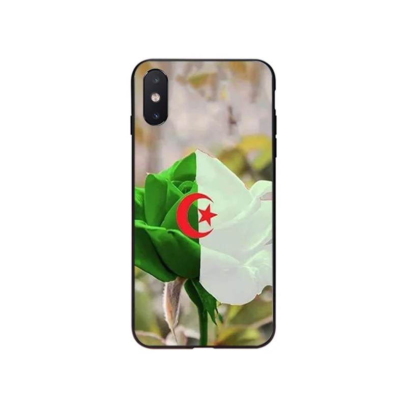 Чехол для телефона с флагом Алжира iphone 14 13 Pro Max 12mini 12 11 ProMax XS MAX XR SE2 8 7 plus X |
