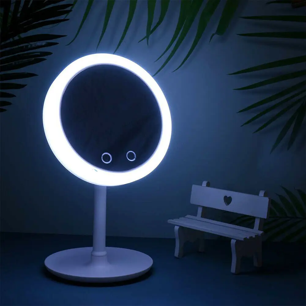 

3 in 1 LED Dimmable Makeup Mirror Selfie Ring Light with Fan Gifts USB Charging for Lady Gift Mother Gift