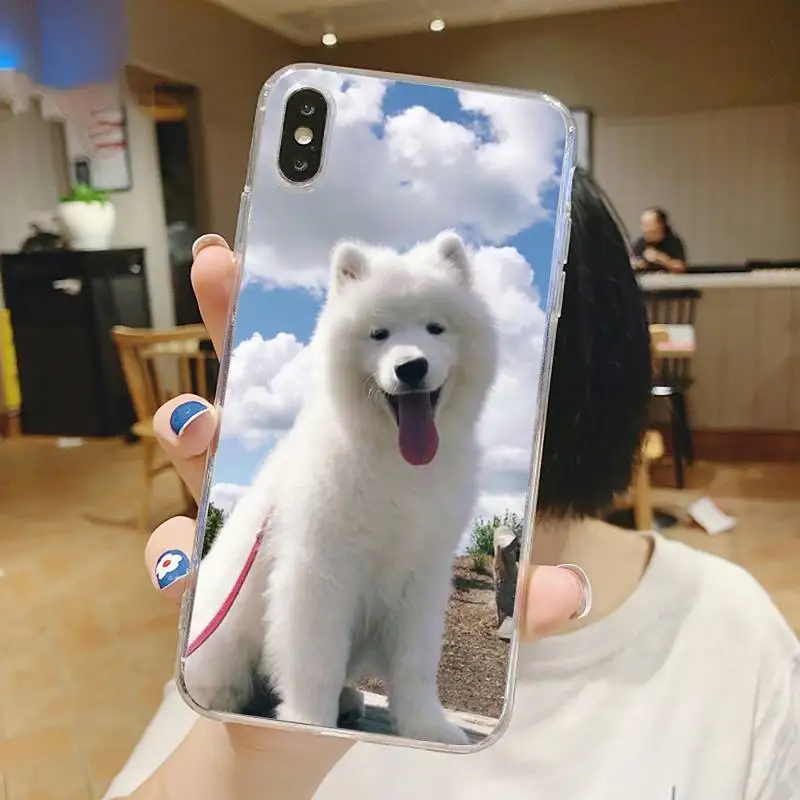 

Cute dog Samoyed animal Phone Case Transparent for iPhone 6 7 8 11 12 s mini pro X XS XR MAX Plus