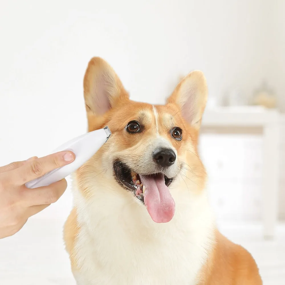 Xiaomi Pet точный триммер кошка Груминг для собачьей шерсти местная бритва уши глаза ноги шов предохранительный резак головы