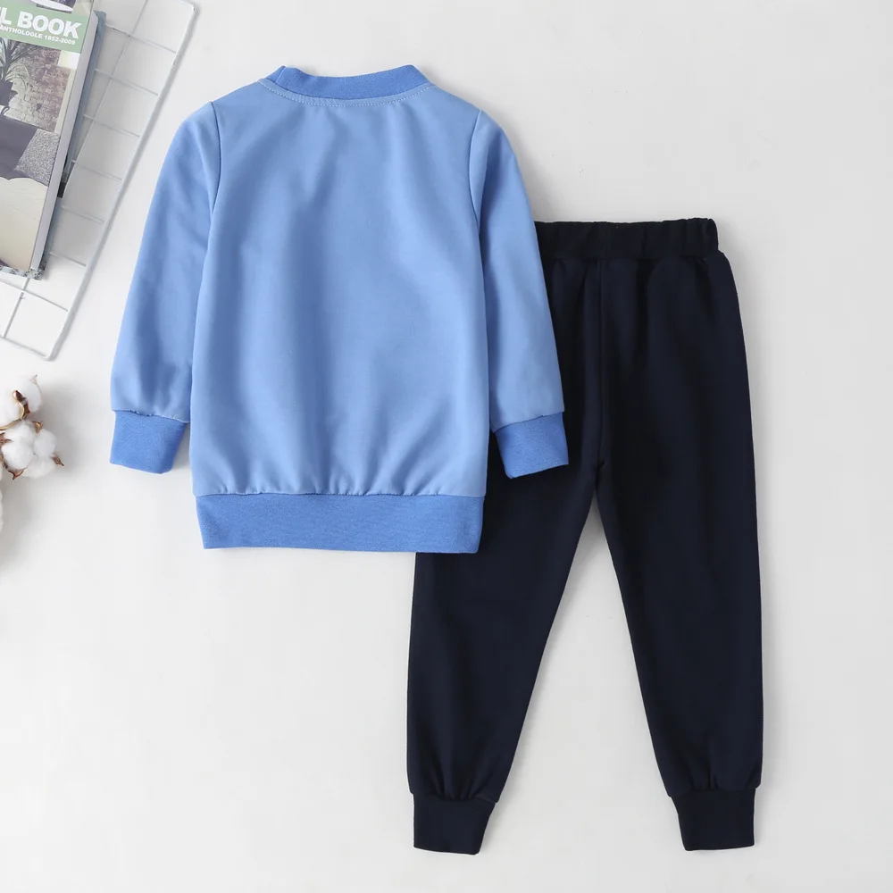 2 шт. детский хлопковый свитер с длинным рукавом и круглым вырезом |