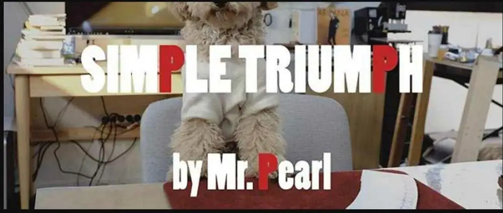 

Simple Triumph by Mr. Pearl - magic tricks