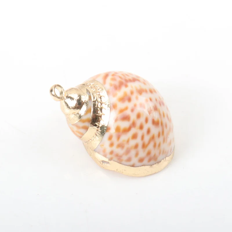 5 шт. декоративные ракушки для аквариума пляжа | Дом и сад