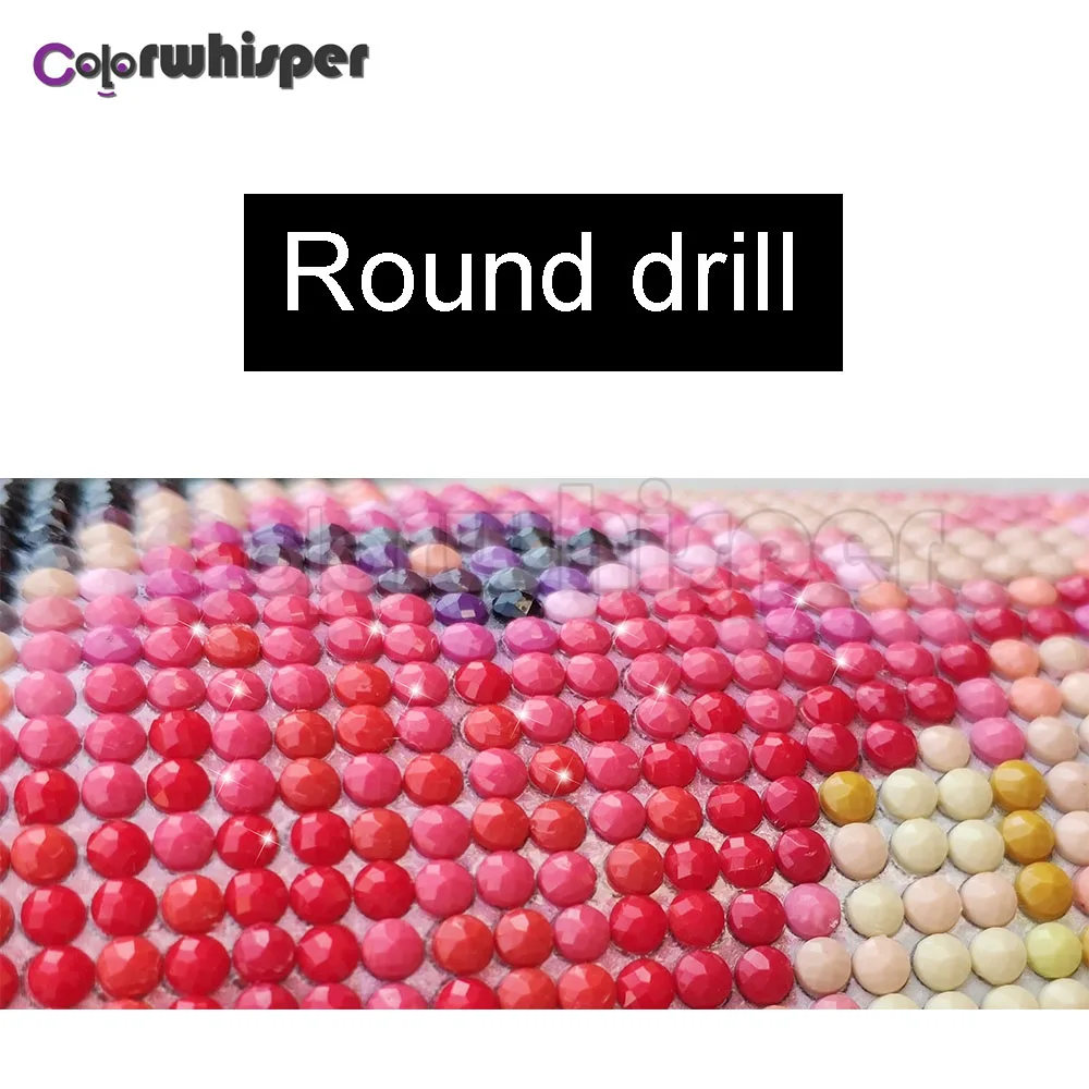 

Diamond Painting Full Square/Round Drill Flowers Rose Lily Daimond Embroidery Cross Stitch Kit Mosaic Rhinestone Picture S637