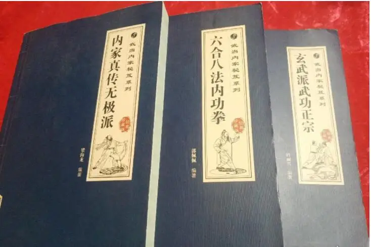 9 книг Wudang серия обманов китайская Shao lin подержанные книги|fei|prieststory |