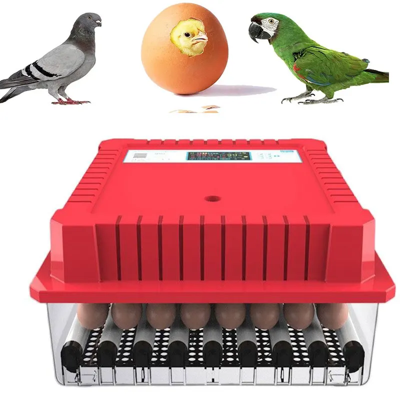 

Новое Автоматическое инкубационное устройство, инкубатор для яиц с поворотом на 360 градусов, утка, Перепел, птица, 48 яиц, ферма, инкубационны...