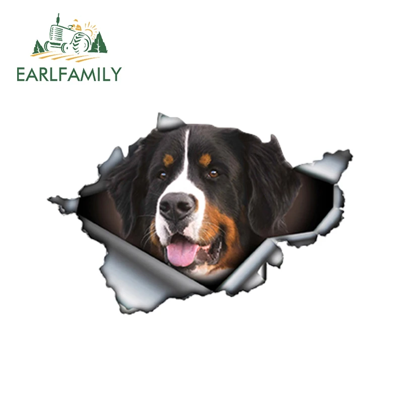 EARLFAMILY 13 см x 8,6 см Bernese горный стикер на машину с собакой рваные металлические наклейки светоотражающие наклейки s Водонепроницаемый Автомобиль Стайлинг наклейки для животных
